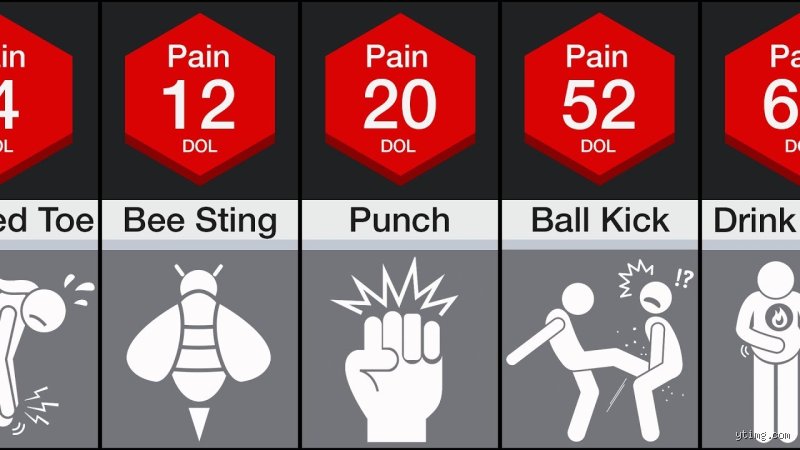 The Anatomy of Agony: What Hurts the Human the Most When the Body and Mind Break
