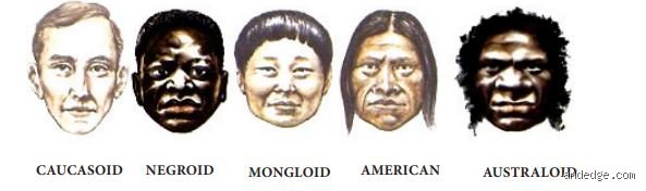 The Five Identified Races Defined by the US Government and Why the System is Cracking