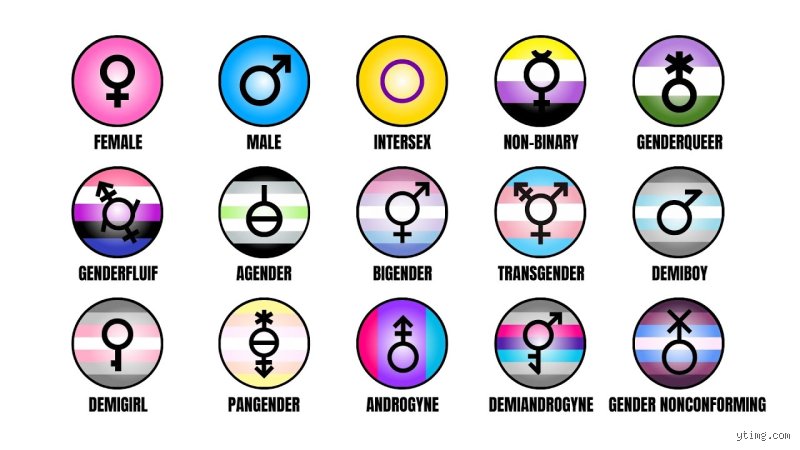 Beyond the Binary: What Are the Five Types of Gender Shaping Modern Identity?