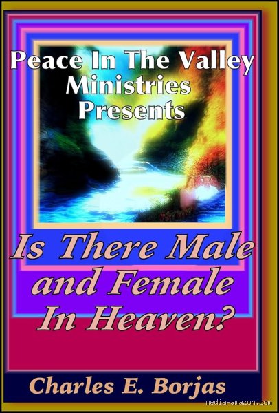 Beyond the Pearl Gates: Will We Still Be Male and Female in Heaven?