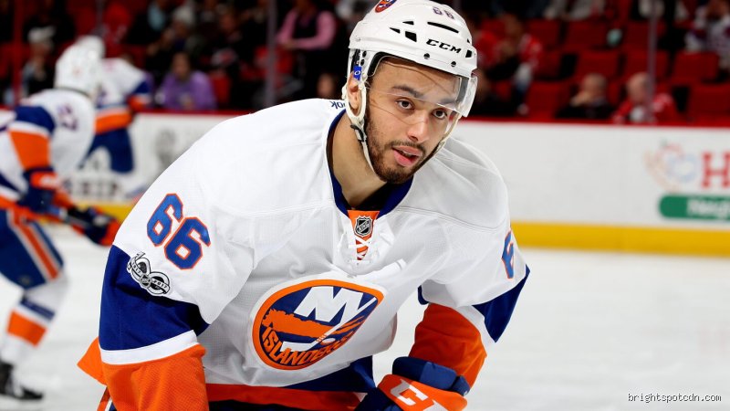 The Ghost on the Ice: Why Is Number 66 Banned in NHL Arenas Today?