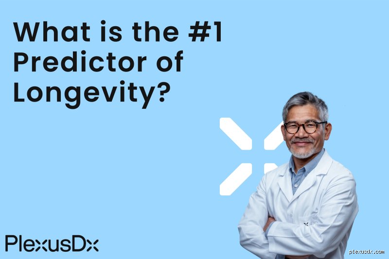 The Longevity Equation Unlocked: Why a Surprising Social Metric is the #1 Predictor of Longevity