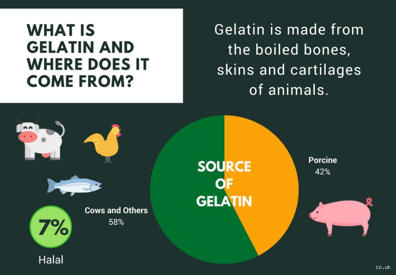Is Gelatin Always Non-Halal? The Complex Science and Religious Debate Behind the World’s Most Misunderstood Ingredient