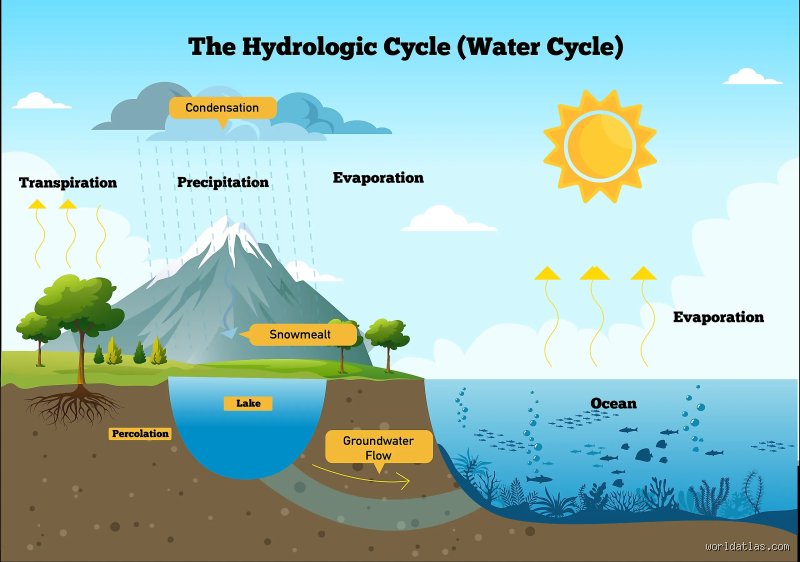 Why the World’s Greatest Vanishing Act Happens Over the Ocean: Unmasking the Largest Source of Evaporation