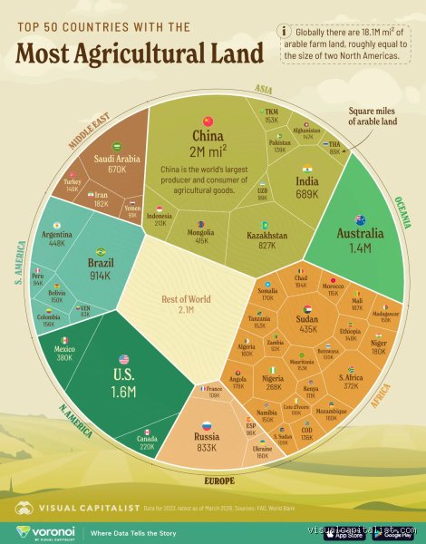 Feeding the Future: Which Country Land is Best for Agriculture and Global Food Production?