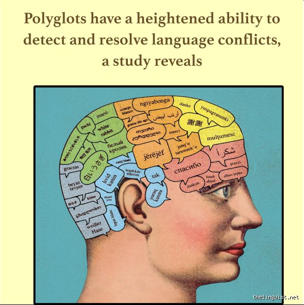 Are Polyglots High IQ? Unraveling the Brain Chemistry, Cognitive Resilience, and Hidden Disadvantages of the Multilingual Mind