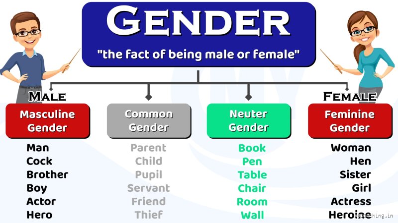 Beyond Pink and Blue: Decoding the 4 Genders in Grammar That Shape How We Speak