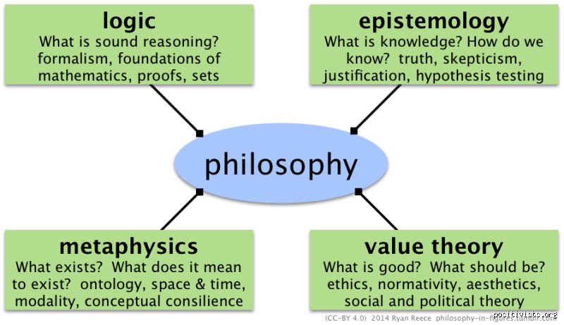 Beyond the Ivory Tower: Demystifying What the 4 Main Points of Philosophy Actually Mean for Daily Life