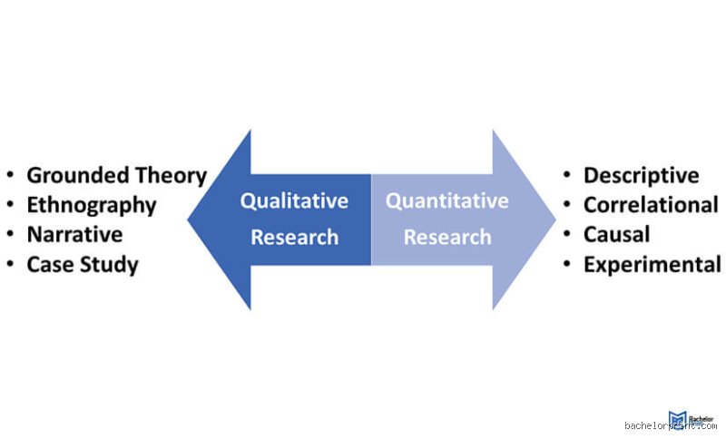 What are the two main types of research?