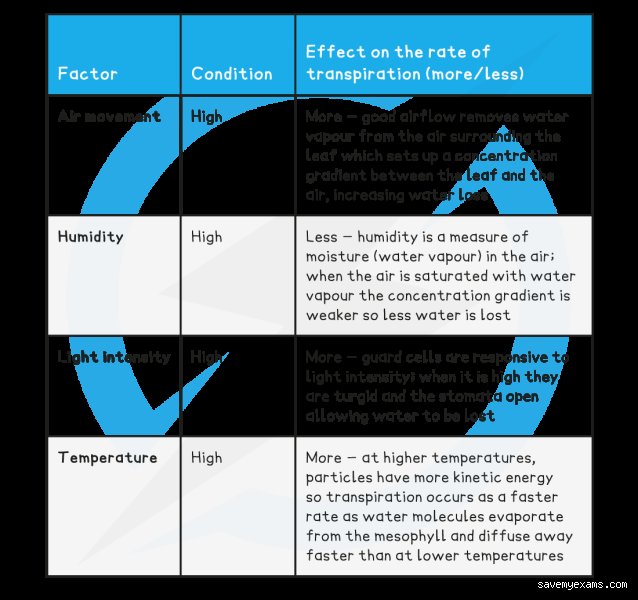 What factors can decrease the rate of transpiration?
