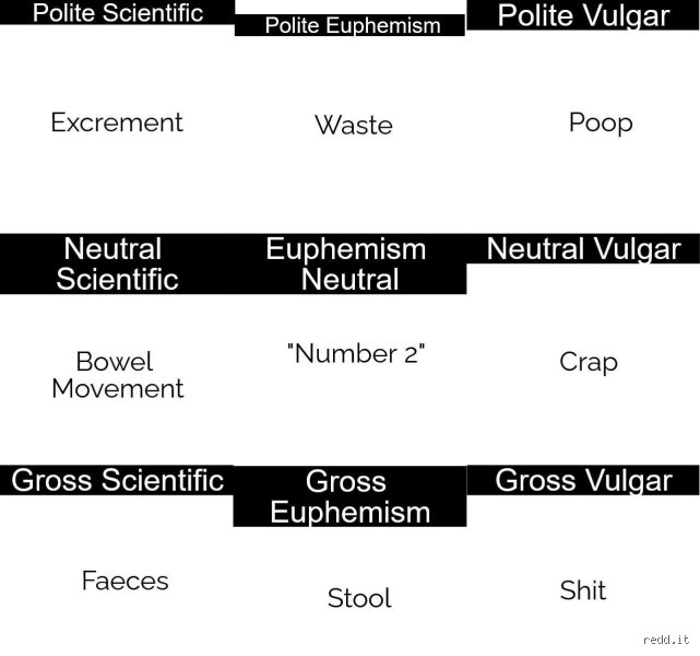 From the Gutters of Language to Modern Lexicons: What is a Vulgar Term for Feces and Why Does It Matter?