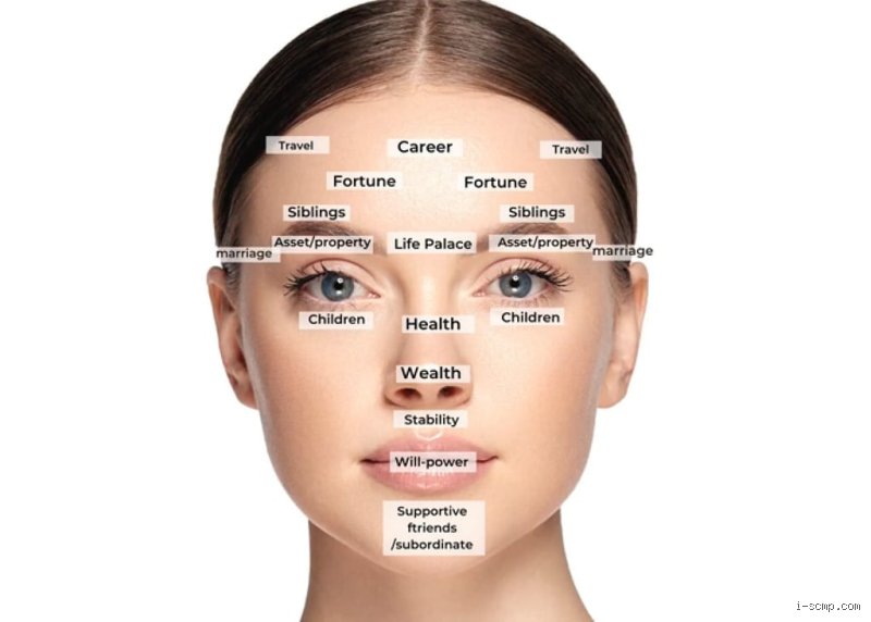 The Physiology of Fortune: What Makes a Lucky Face and Why Science Claims We are Hardwired to See It