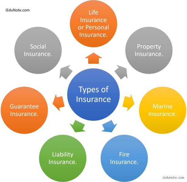 What Are the Types of Insurance Contracts?