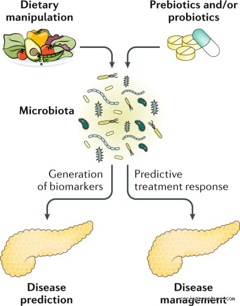 How to eliminate bacteria in the pancreas?