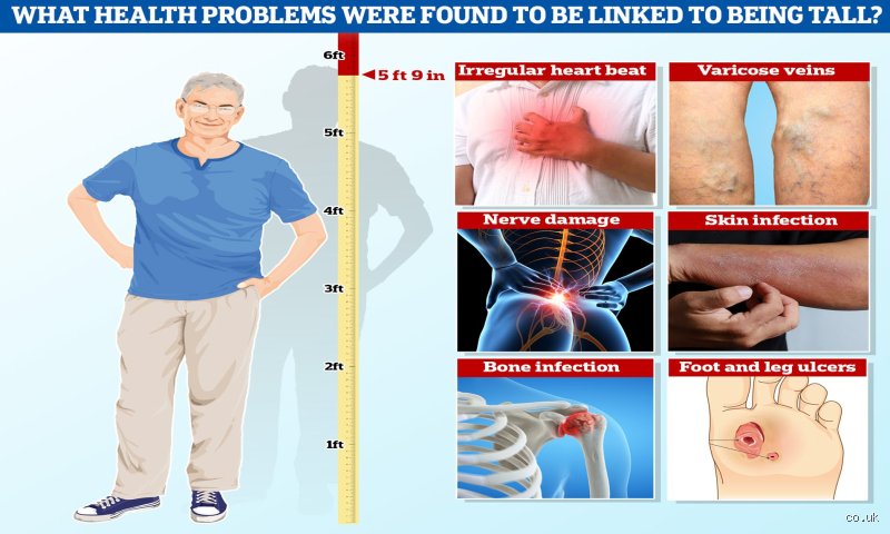 Is Being Tall Healthier? The Towering Truth About Height and Your Lifespan